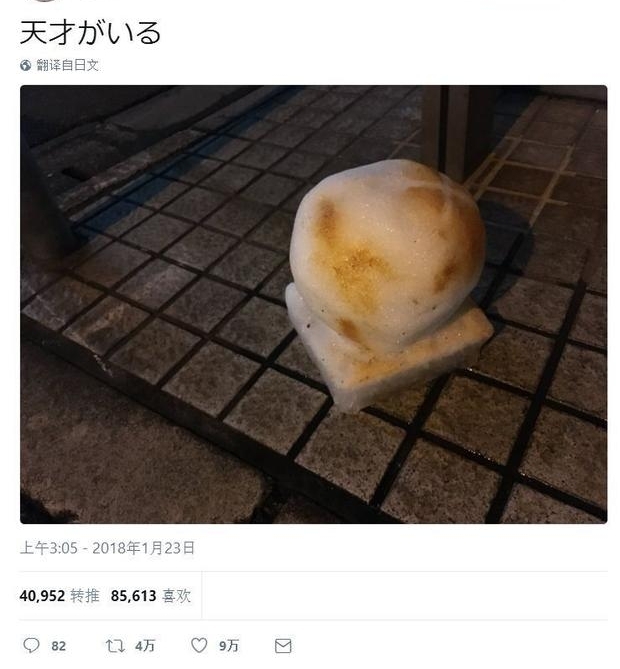 ����һ����ѩ���ֹγ���һȺ����������