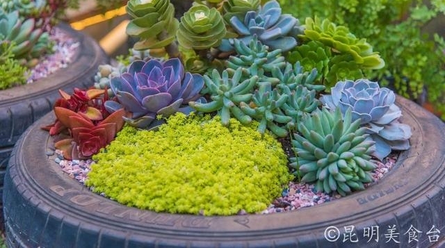 �������������ͬ��ķ��꣬�����ɶ����ƽ䣬��3����·����