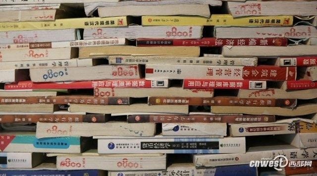 15 吨旧书堆成 11 米高书塔 有门有窗还能进塔拍照