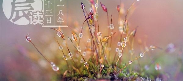 晨读 | 新生儿取名“马莎拉蒂” 大半年后后悔欲改名“马莎拉”