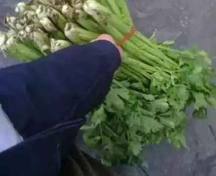 ������ǽ������� һ����������...