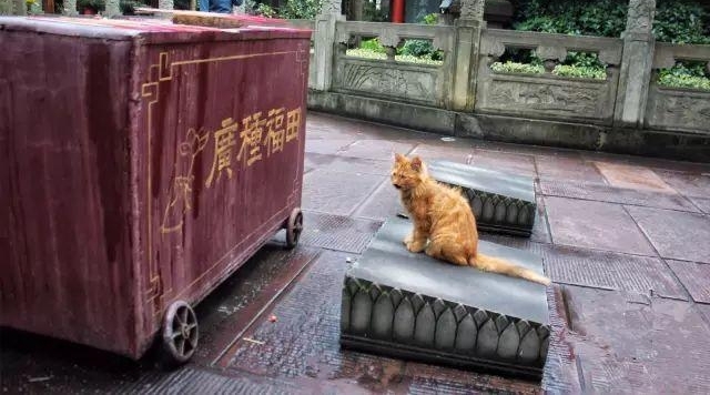�����ൺ���� ���ϳɶ��̻�� ֱ���������