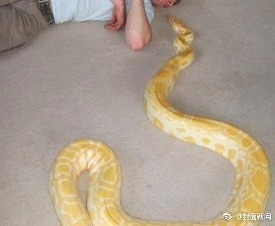 ����ͼ�㣺Сѧ���Ծ��֡����⡱�������Ǽ����������ˣ������