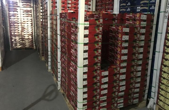 车厘子每斤20元起 曾经的“贵族水果”现在越来越亲民