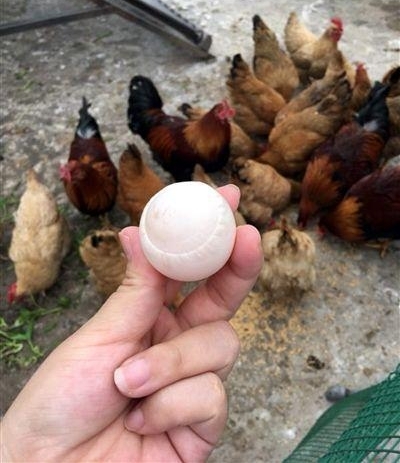 ��š����Ƶ����ܳ���