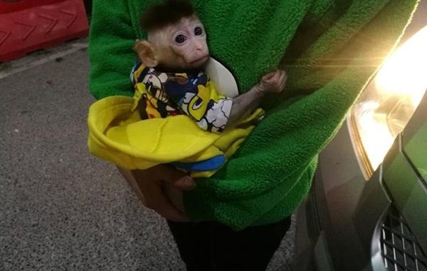 ���޾���ץ⨺ﵱ���ﱻ���ߣ���Ƿ��Բ�����ΣҰ��������