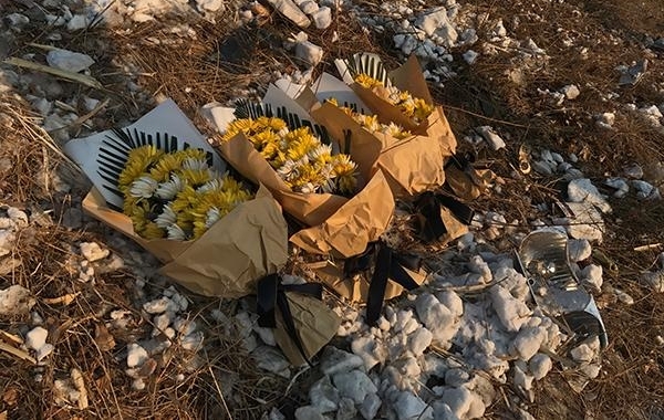 北林大女生车祸:当事人通过网上游记联系涉事客车
