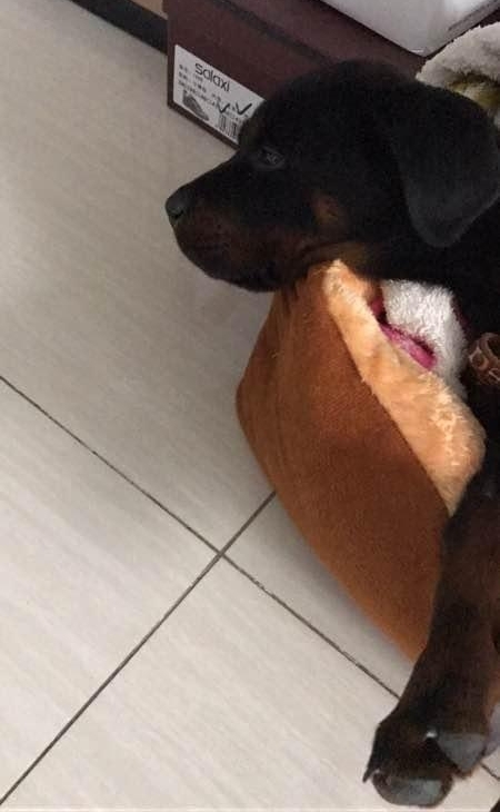 ���������ֵ�����С�����˿��������ϣ��ϰ����Ϊȴ���ĵ���