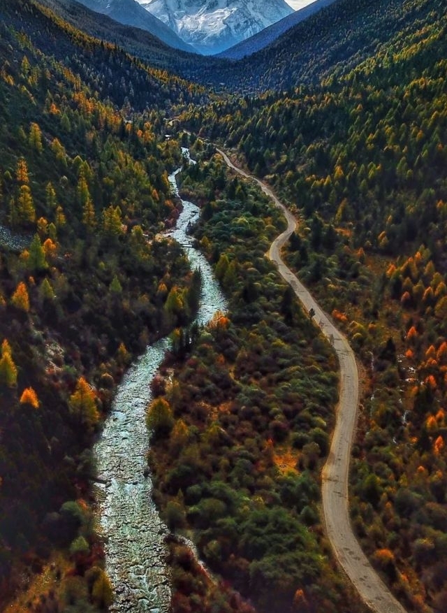 WOW���й����������ɽ������ȥ����Щ��