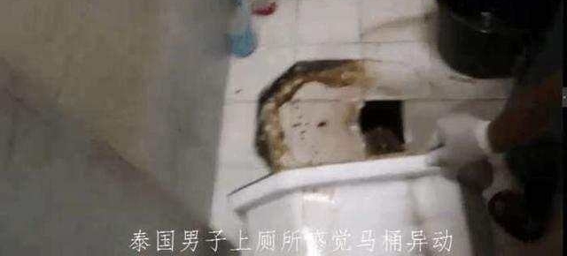 男子上厕所马桶异动, 结果男子悲剧了差点变女人