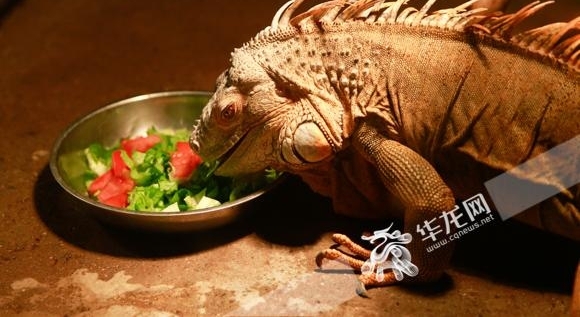 С��������ô�ȹ����������߹��ޱ���촵�յ�