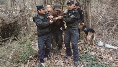 南京一8旬翁失踪3天 警犬30分钟成功搜救