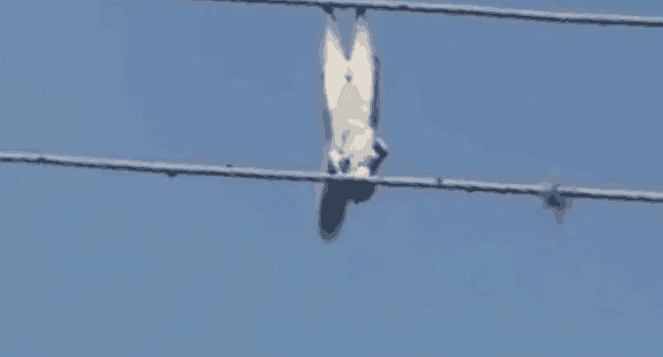 �������ֻ��ĵ�·�ߵĵ������������������󿴵������ֶ���