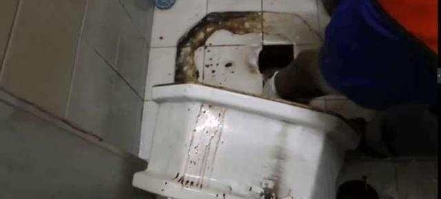 男子上厕所马桶异动, 结果男子悲剧了差点变女人