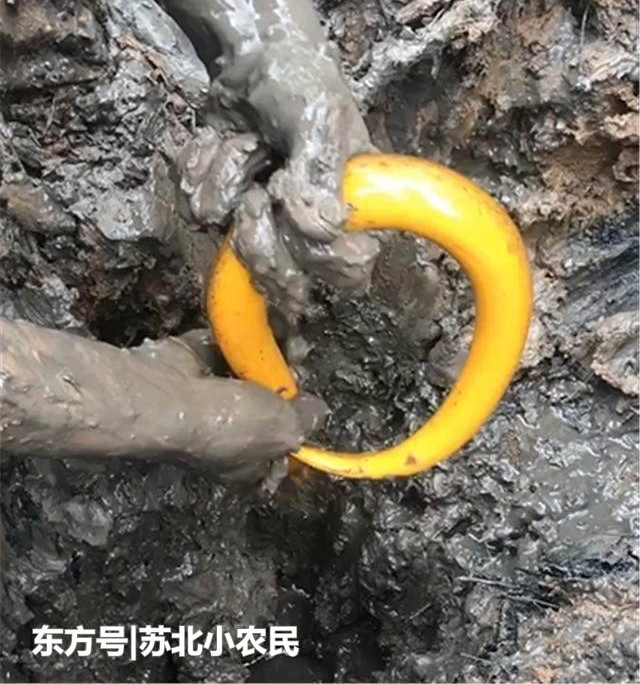 ����ǿ����ප������һ��Ұ�����������������յĽ���