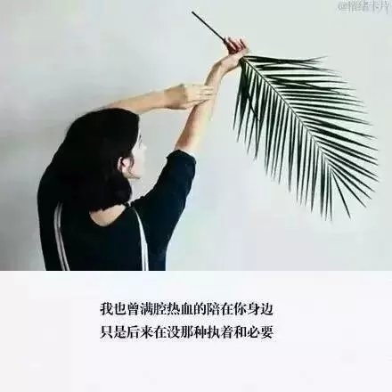 ѵ㣬زȥҲ