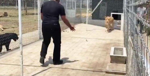 ĸʨ���Լ��ľ��������ط꼤�������Ա������������Ǿ�ϲ