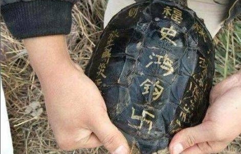 ũ���ү��һֻ�������ֵ��ڹ꣬��Ҳû����ûؼ��������ˣ�