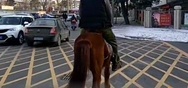 �ϰ������Ӷ��ӷ�ѧ�����ѣ������Ĳ�һ���ǰ������ӣ�Ҳ���������