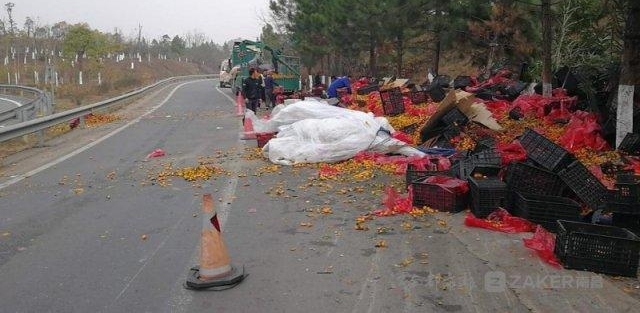 出师不利!与亲戚出资 30 万卖桔子 结果翻车