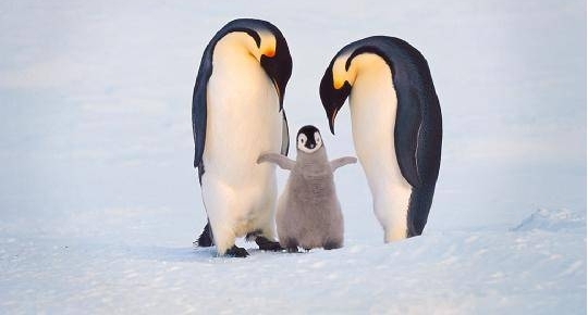 ���ҵ��� ����Ӱ��ʢ�� 2018��3�µ����౱���л�����̳վ