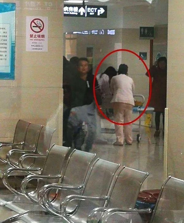����������̥����Ԫ�������� ҽ������ӭ�����������