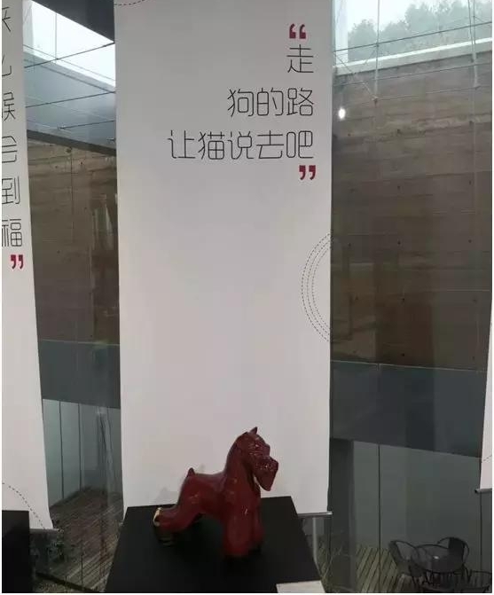 ��ȫ��Ȯ�⡱�������׽��մɵ�����Ф��¡�ؿ�Ļ
