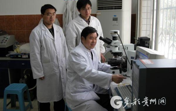 ���������ȡ��Ƽ����������츻