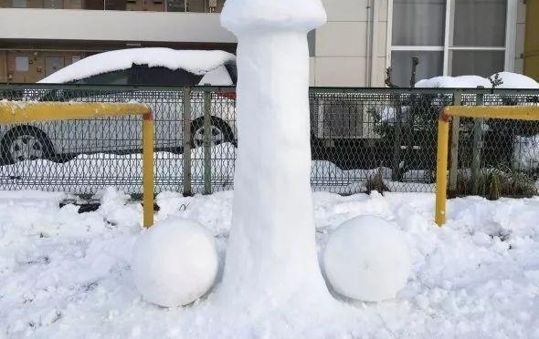 ����һ����ѩ���ֹγ���һȺ����������