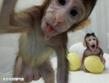 һ���ë�伸��ֻ���Ӳ������⣡��ֻ��¡���������������