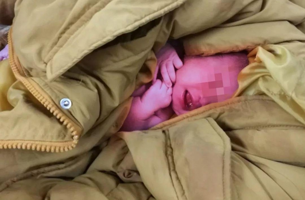 ����������̥����Ԫ�������� ҽ������ӭ�����������