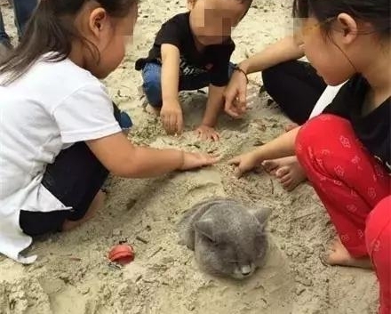 倒计时一周!东莞家长最恐怖的事来了!担惊受怕29天!