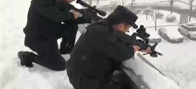 ��ѩ����ţǱ�� ��·�Ϻ��ֱײ���񾯹��ϻ���