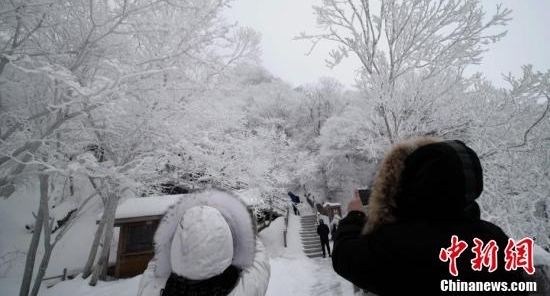 河南老君山雪后玉树琼枝美景如画