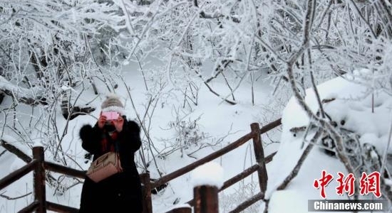 河南老君山雪后玉树琼枝美景如画