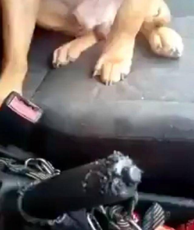 ���������˲���ʱҧ��ɲ����һ���ھΣ����˿�����Ҳ����������