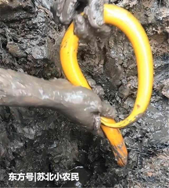 ����ǿ����ප������һ��Ұ�����������������յĽ���
