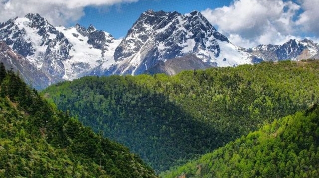 WOW���й����������ɽ������ȥ����Щ��