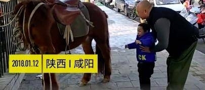 �ϵ������Ӷ��ӷ�ѧ�������Ĳ�һ�������� Ҳ�п��������