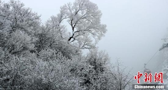 河南老君山雪后玉树琼枝美景如画