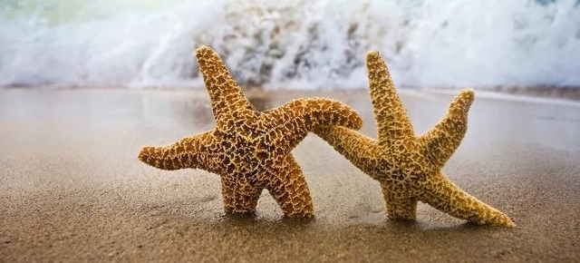 �ٴ���ʿ������ͨ��Ͷ�ߣ��ϰ�û��֣����͸�����仰��