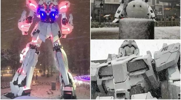 ����һ����ѩ���ֹγ���һȺ����������