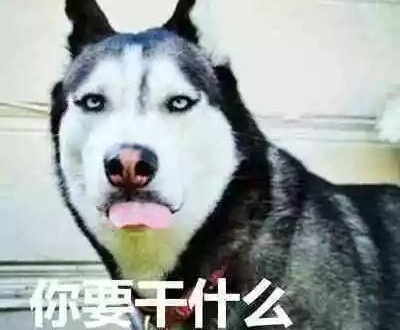 【泉州囧仙】月薪过万工程师裸露下体骚扰单身女子 还叫嚣:没穿裤子也犯法?