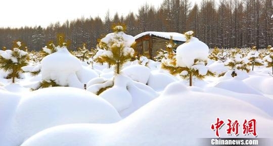 “中国最美冰雪小城”入冬以来降雪量破历史极值 达62.5毫米