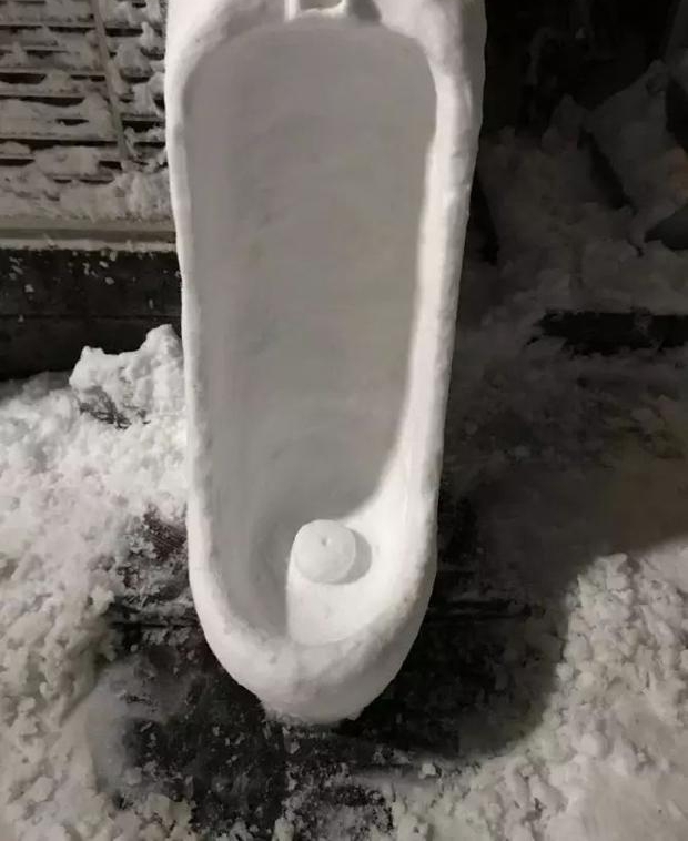 ����һ����ѩ���ֹγ���һȺ����������