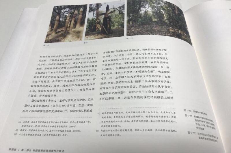 弥补少数民族剪纸学术空白 《村寨里的纸文明》惊艳亮相