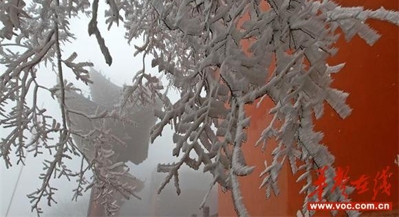 �~ɽ������������� �ο;���������