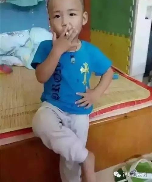宁夏网红为了蹭热度,打起了警车的主意,盘点2017宁夏网红干的奇葩事