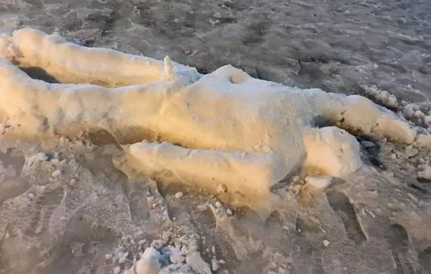 ����һ����ѩ���ֹγ���һȺ����������