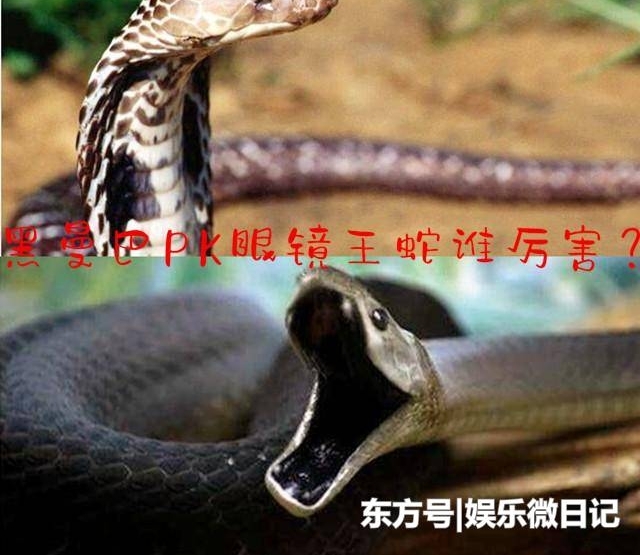 ��������VS�۾�����, �������������, ˭������?